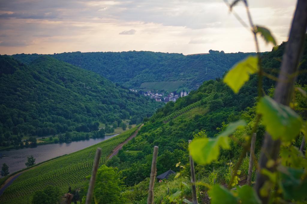 Hotel Sewenig Müden Екстериор снимка
